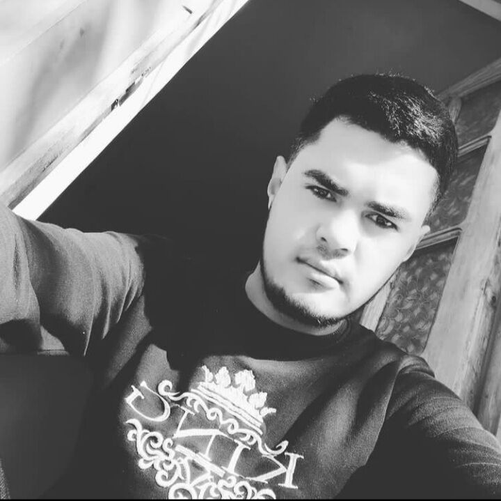 ���� 33681083 ����� ���������, 25 ���, ���� ���������� � ���������