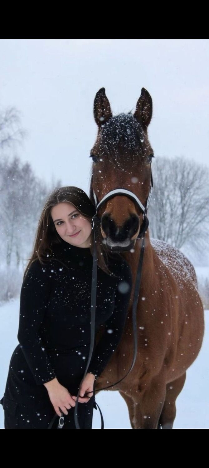 ���������� ��������, ���� ������� �������, 28 ���, ������������ ��� ������, ����� � ���������