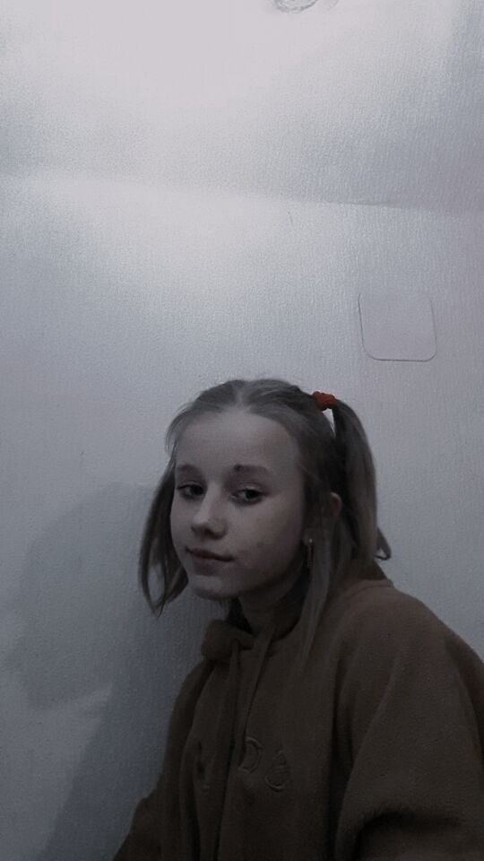  33725033  , 21 ,    