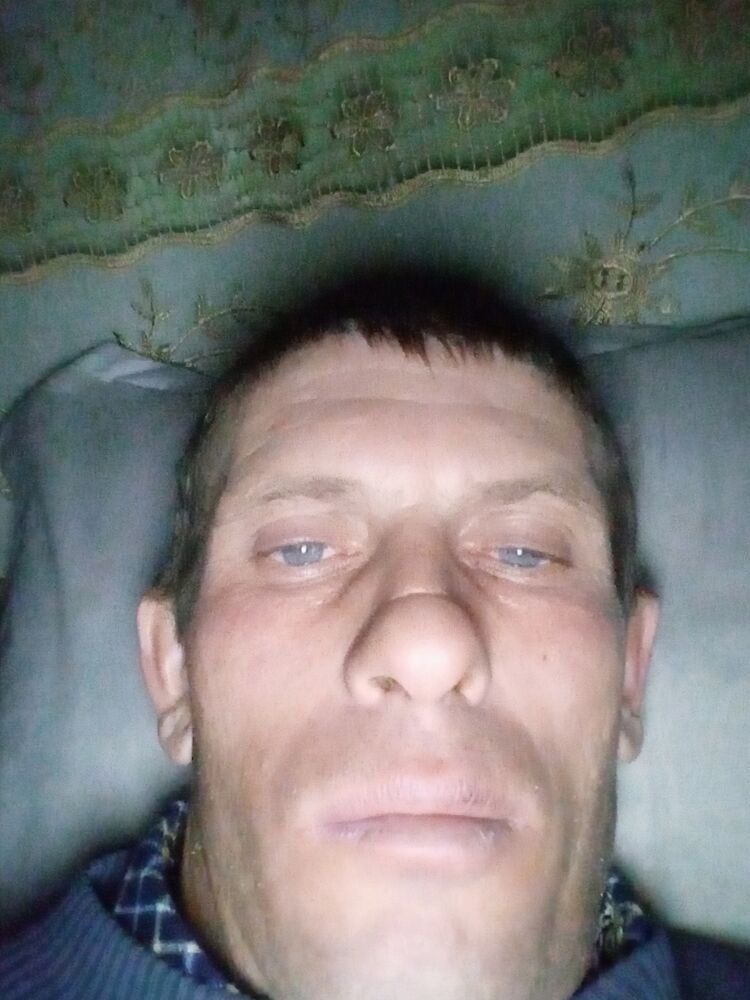 51015063  , 37 ,    