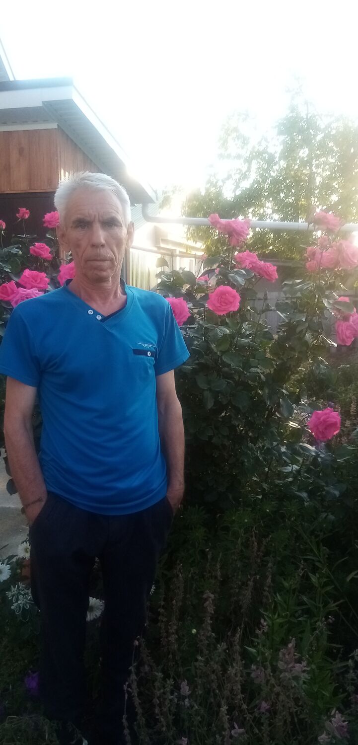  28800203  , 58 ,    