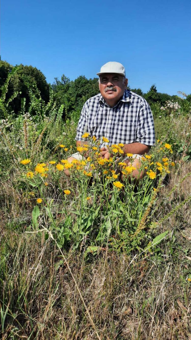 ���� 55639363 ������� ������, 67 ���, ���� ���������� � ���