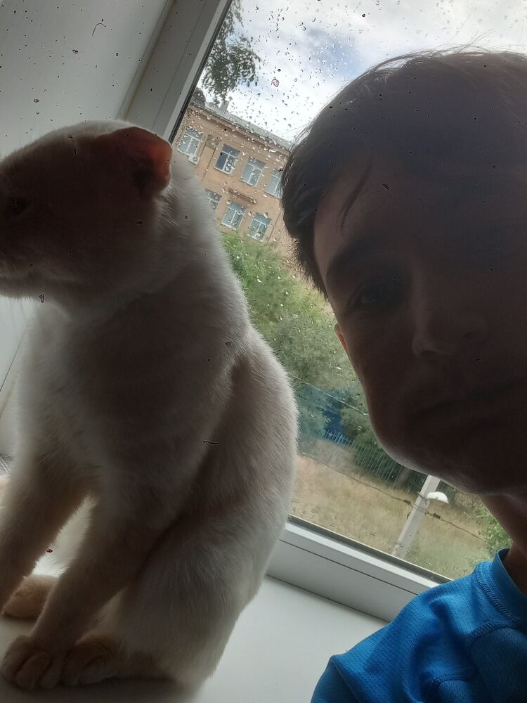 ���������� �����, ���� ����� Ziyodin, 20 ���, ������������ ��� ������, ����� � ���������