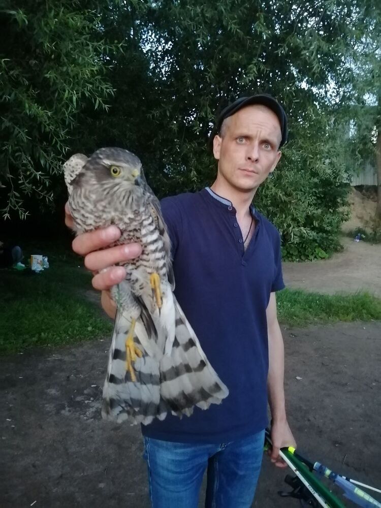  -,   , 38 ,   ,   , c 
