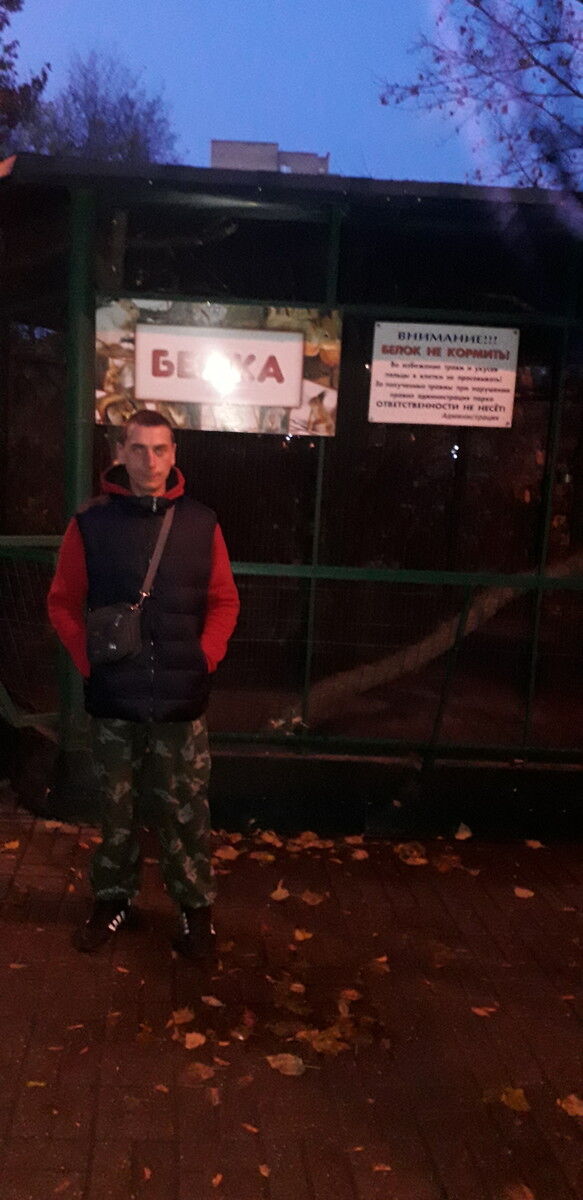  ,   Vitek, 38 ,   , 