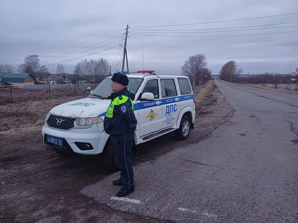 ���� 56209653 ������� �������, 48 ���, ���� ���������� � ���������