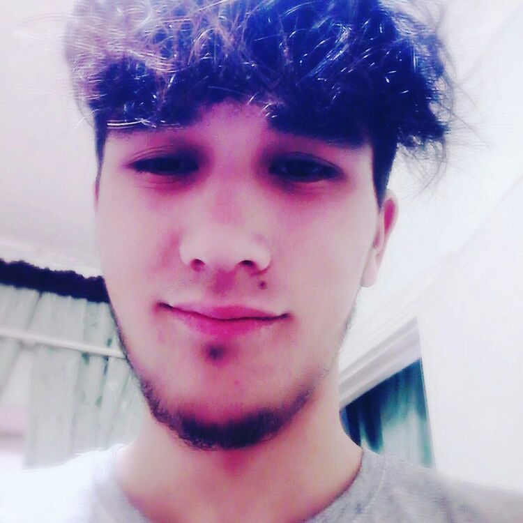 ���� 24993743 ����� ��������, 24 ����, ���� ���������� � ��������