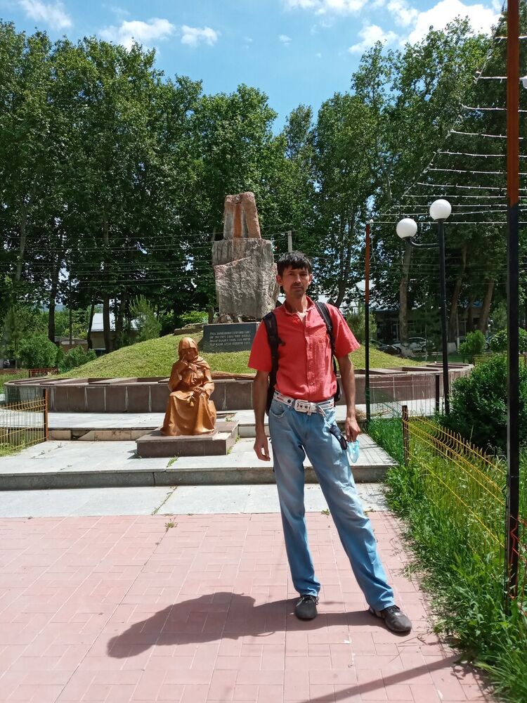  20253533  , 50 ,    