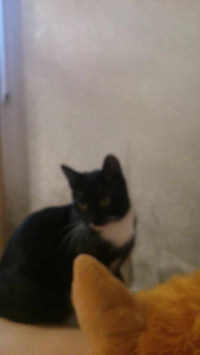 ���� 8419263 ������� �����, 49 ���, ���� ���������� � ����� �������