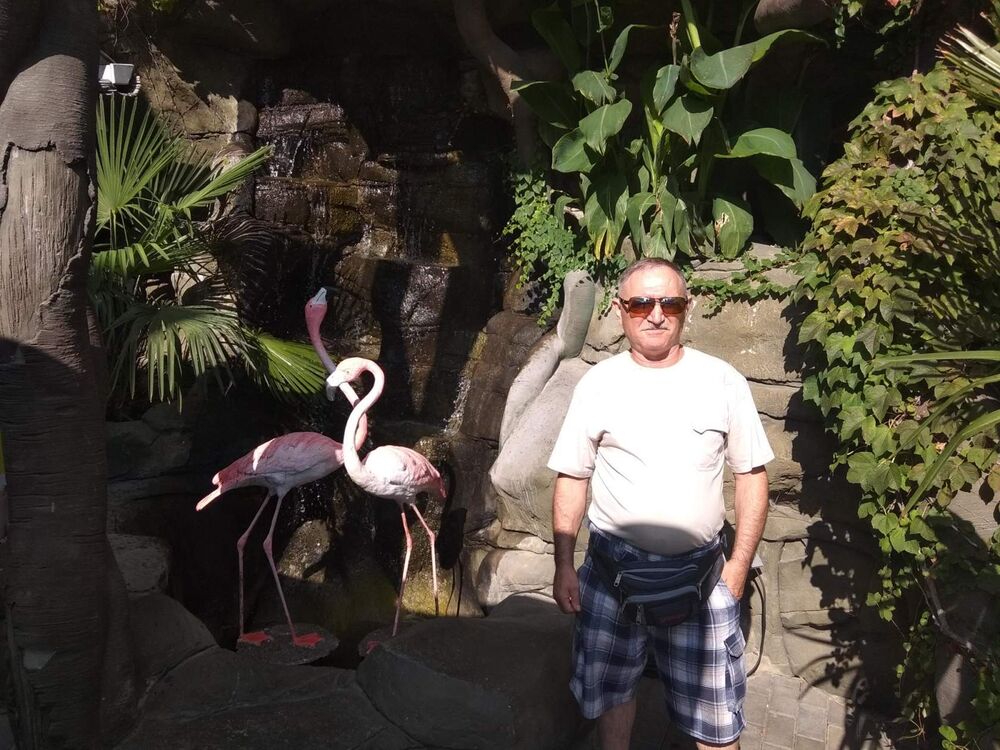  ,   , 65 ,   ,   