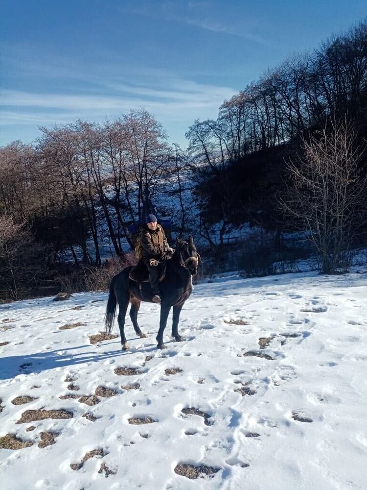 ���������� �����������, ���� ������� ������, 38 ���, ������������ ��� ������, c�������� ���������