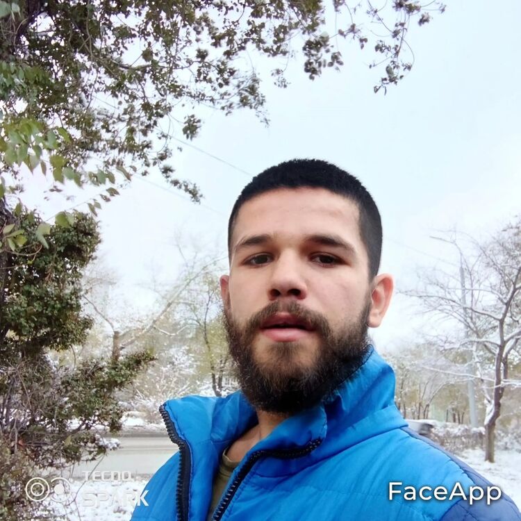 ���� 43949333 ����� �����, 23 ����, ���� ���������� � ���������