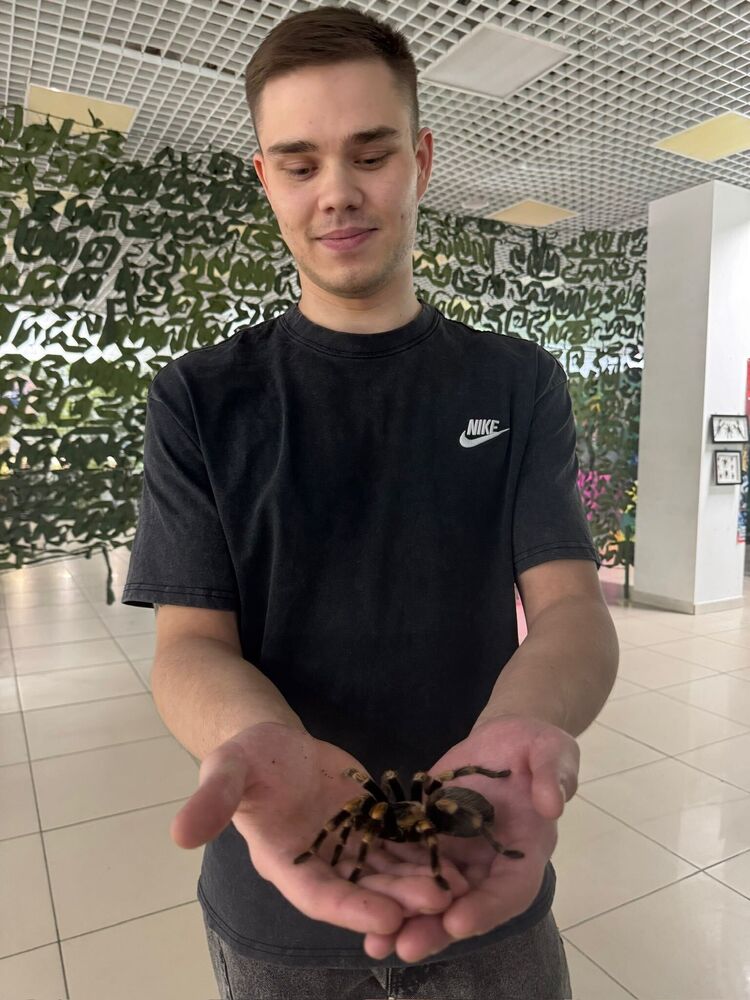 ���������� �����, ���� ������� ����, 27 ���, ������������ ��� ������, ����� � ���������, c�������� ���������, ���������