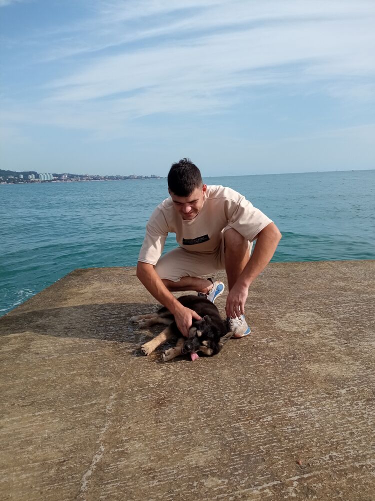 ���� 30808593 ����� �����, 25 ���, ���� ���������� � ����