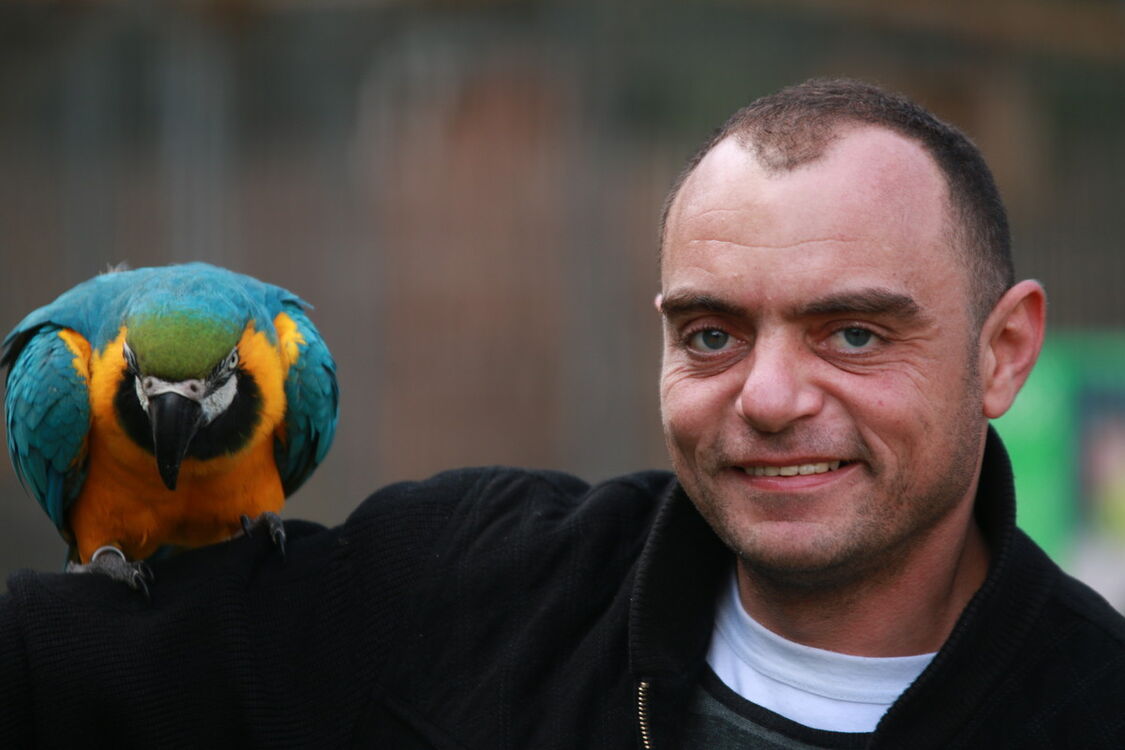  7504723  Dmitry, 44 ,    