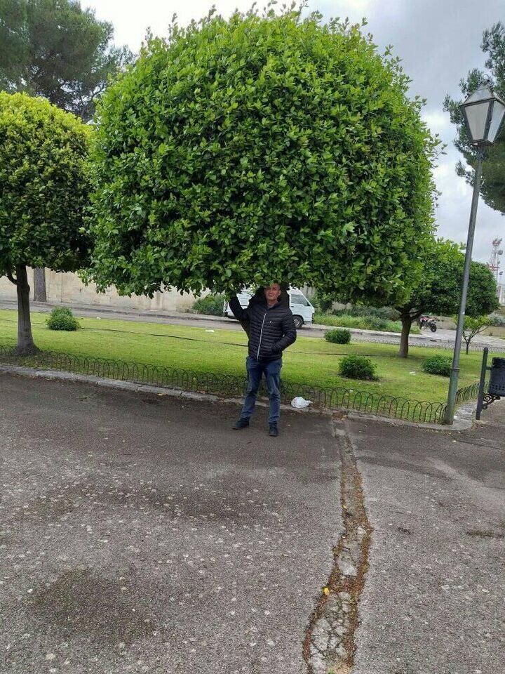  ,   Vanea, 55 ,   ,   , c 