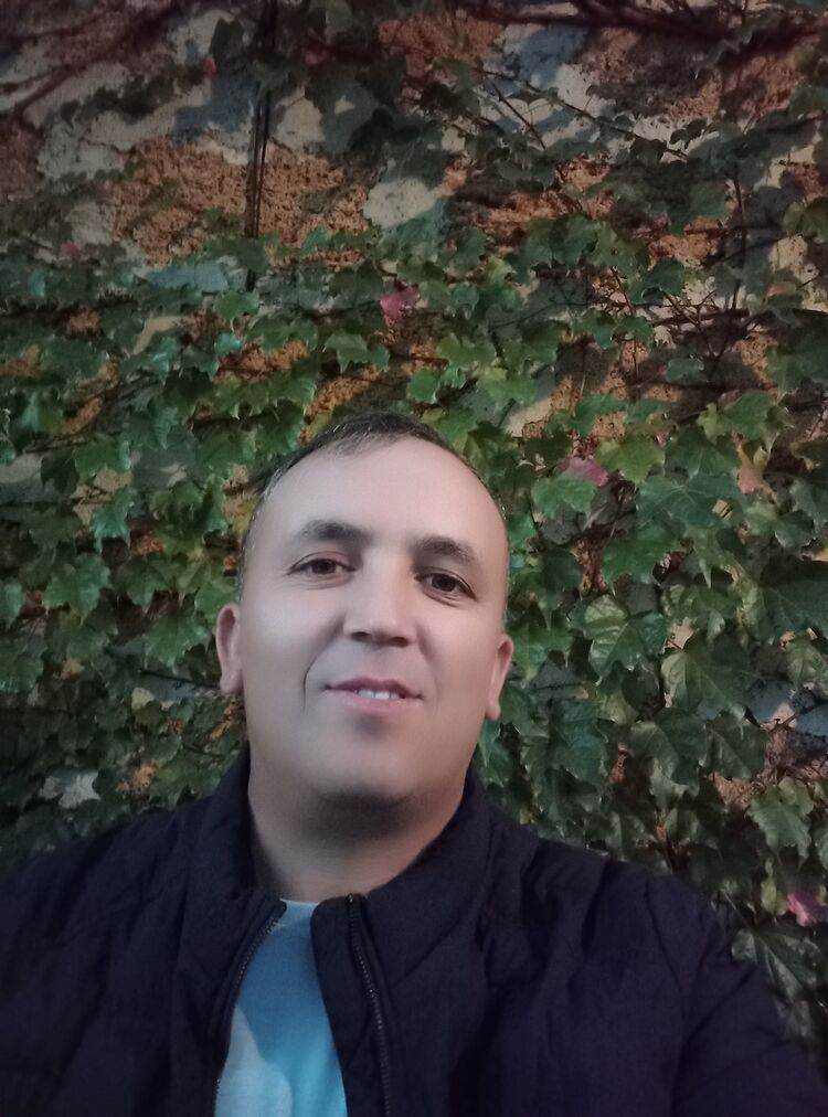  46973933  , 43 ,    