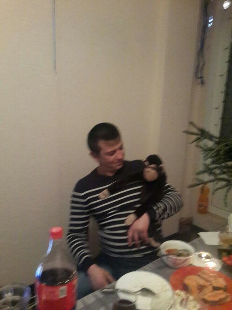 -,   , 37 ,   ,   