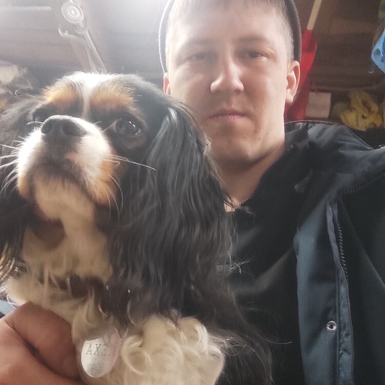  ,   Pavel, 30 ,   ,   , c , 