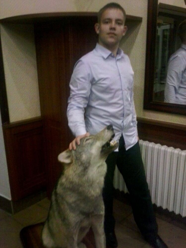 ���� 9339533 ������� ����, 30 ���, ���� ���������� � ��������