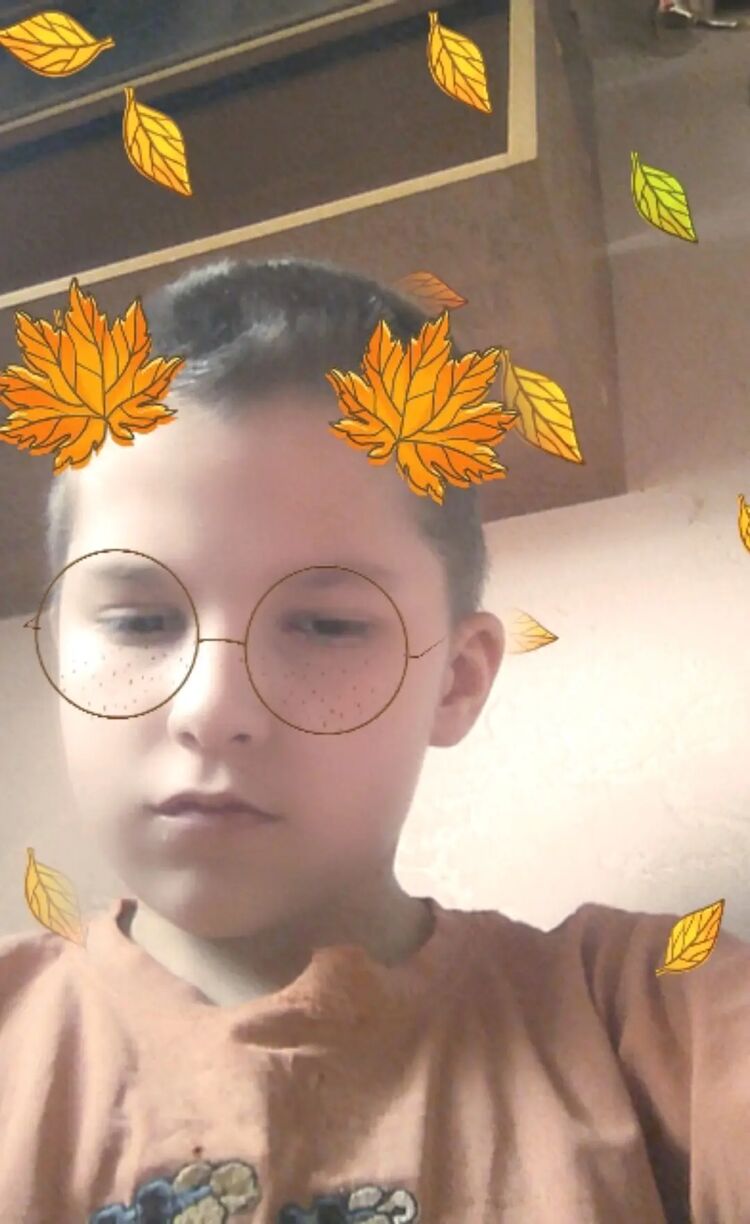  28371713  , 24 ,    