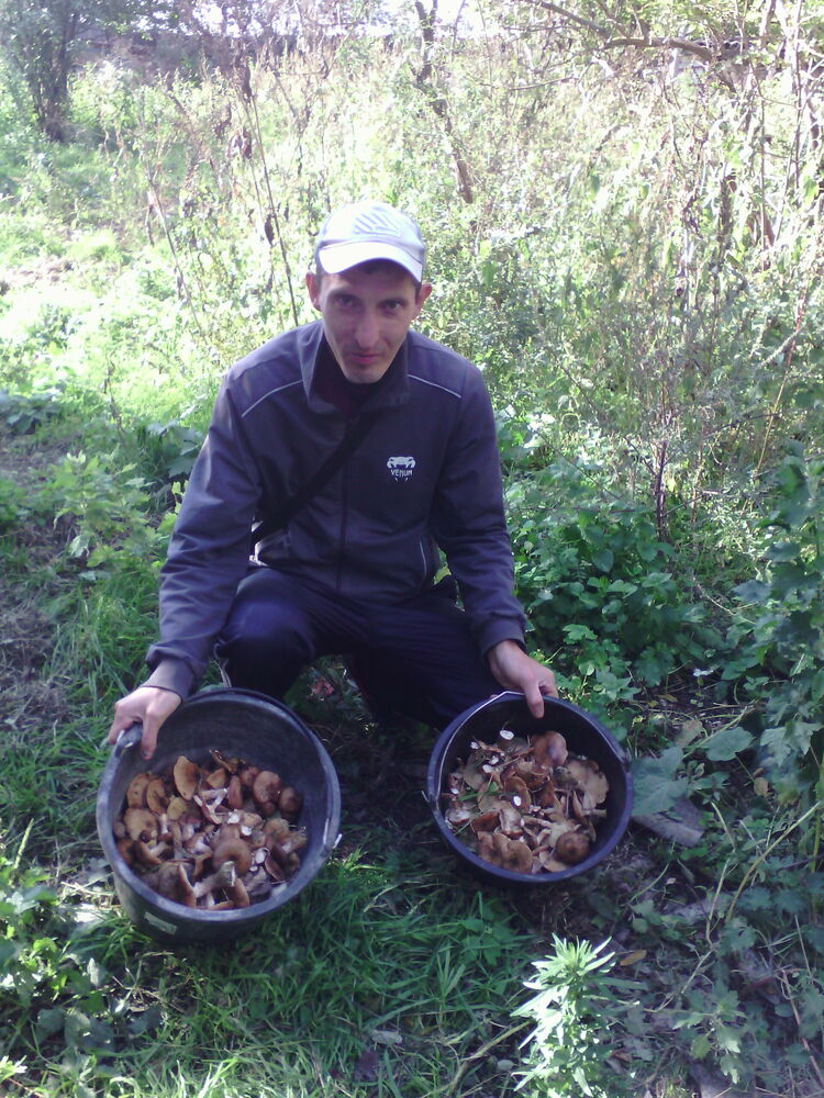 ���� 31002863 ������� ������, 35 ���, ���� ���������� � ������