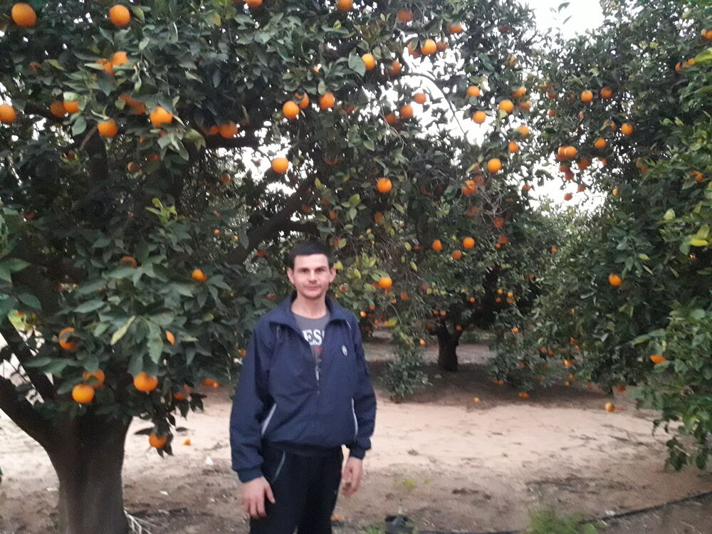  Tel Aviv-Yafo,   , 35 ,   , 