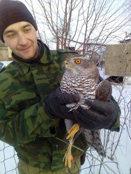 ���������� ������, ���� ������� ���, 32 ����, ������������ ��� ������, ����� � ���������, c�������� ���������