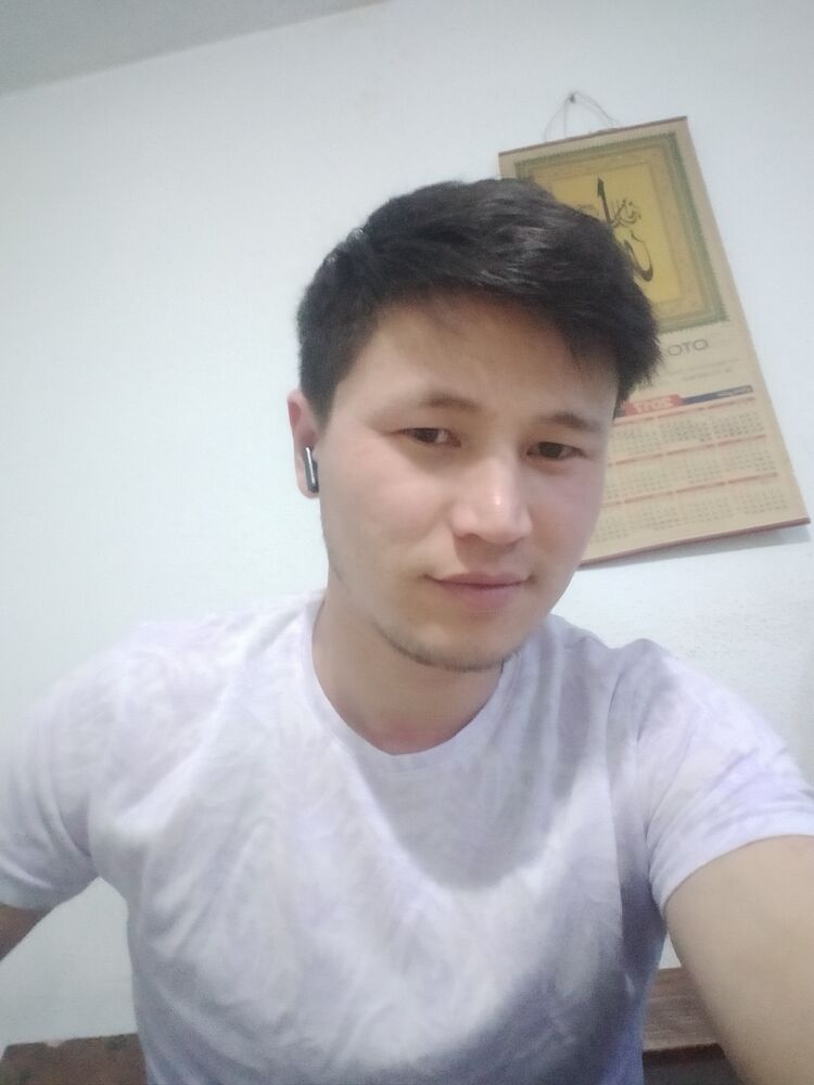  44035763  , 29 ,    