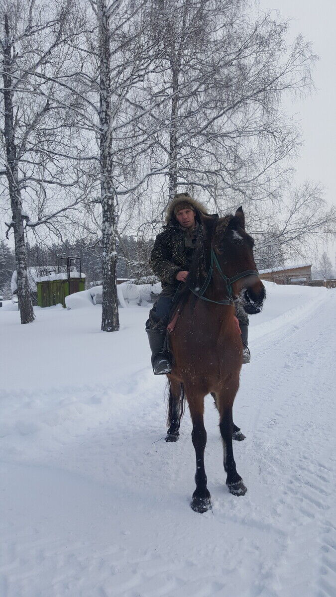 ���� 22091643 ������� �����, 36 ���, ���� ���������� � ��������