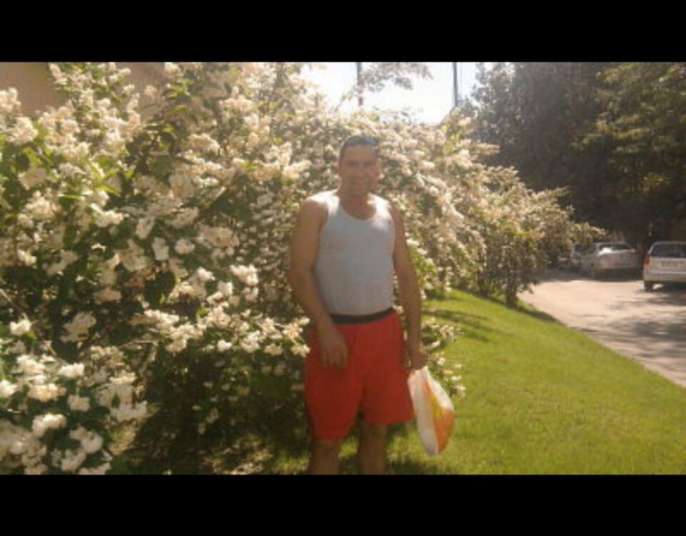  -,   , 44 ,   ,   , c 