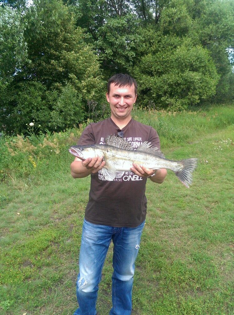 ���� 21616033 ������� ������, 46 ���, ���� ���������� � ������