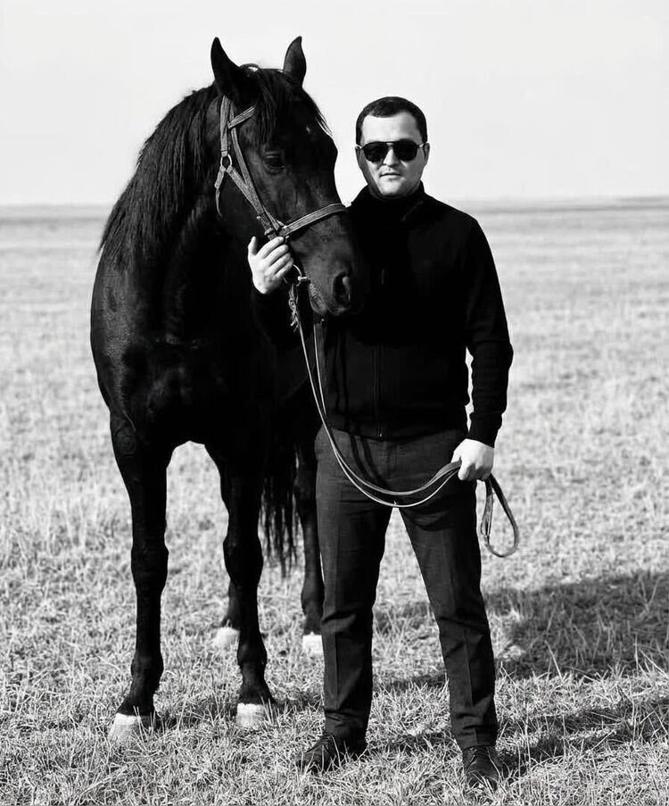 ���� 56198003 ������� �����, 32 ����, ���� ���������� � ��������