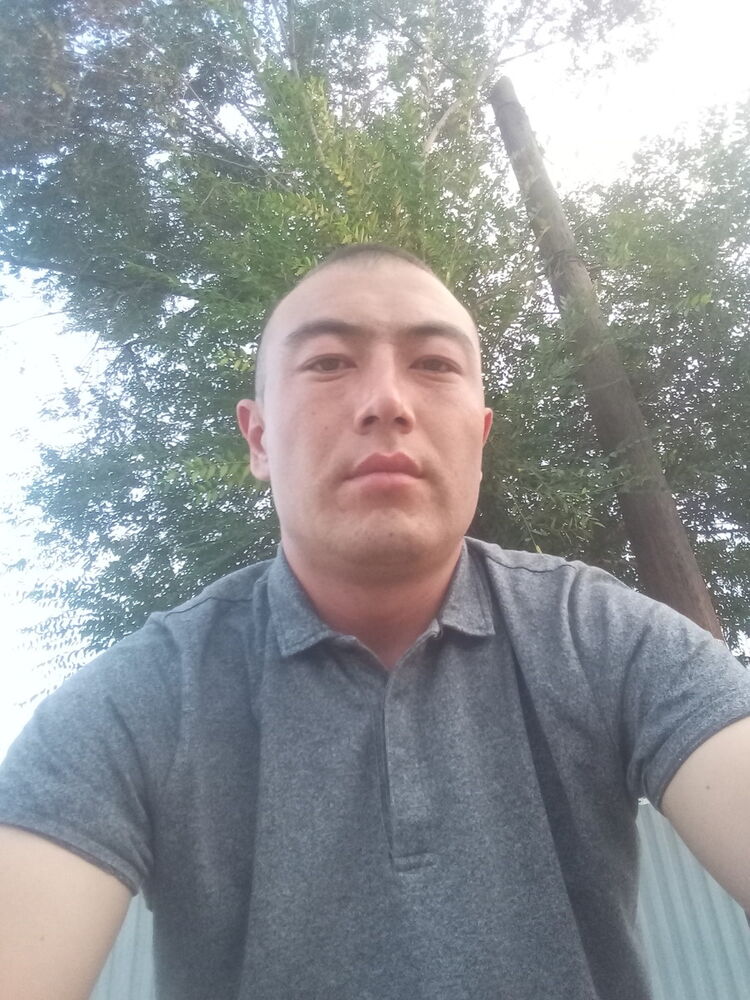 ���� 17568413 ������� ����, 33 ����, ���� ���������� � �����