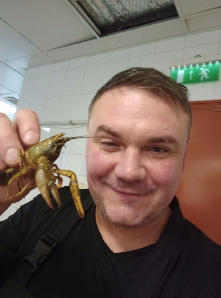 ���� 31713343 ������� �����, 40 ���, ���� ���������� � �����-����������