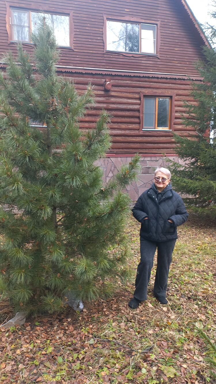 ���� 56086343 ������� �����, 64 ����, ���� ���������� � �����