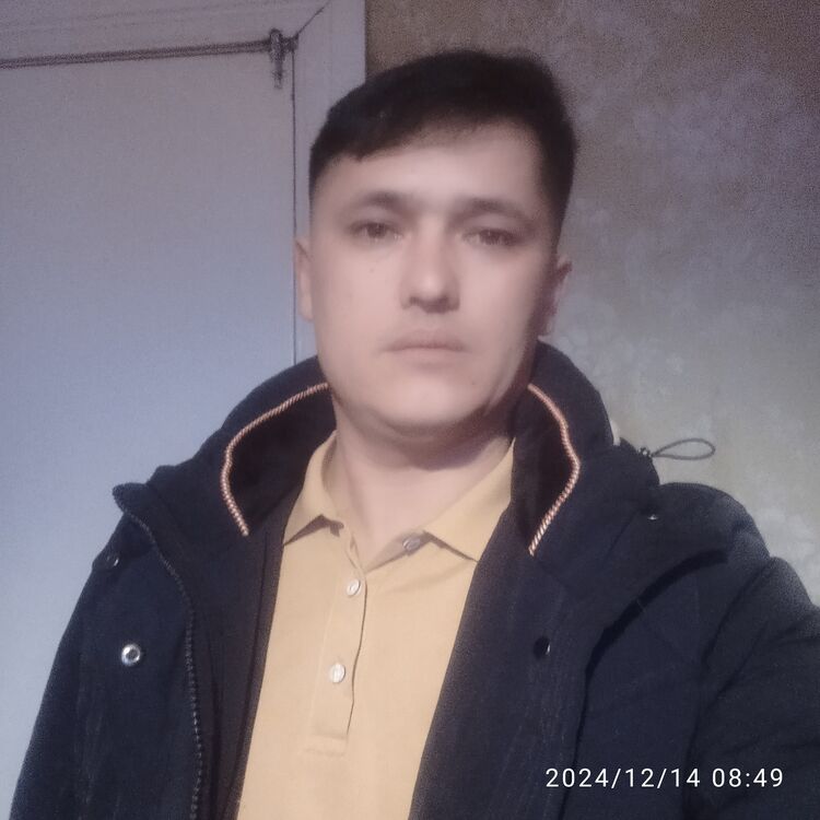  48223733  , 37 ,    