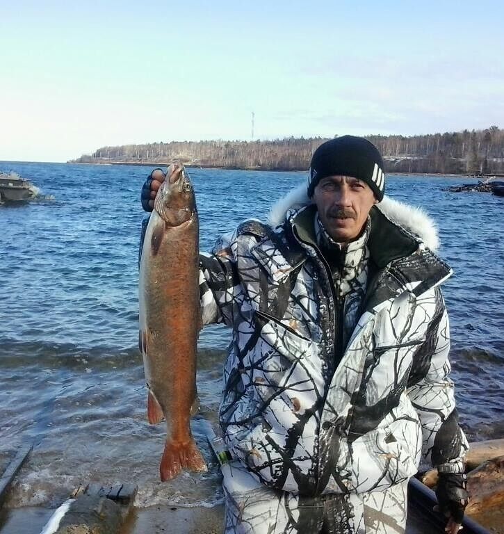 ���� 7154303 ������� ������, 58 ���, ���� ���������� � ��������