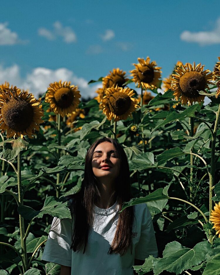  54227403  , 28 ,    --