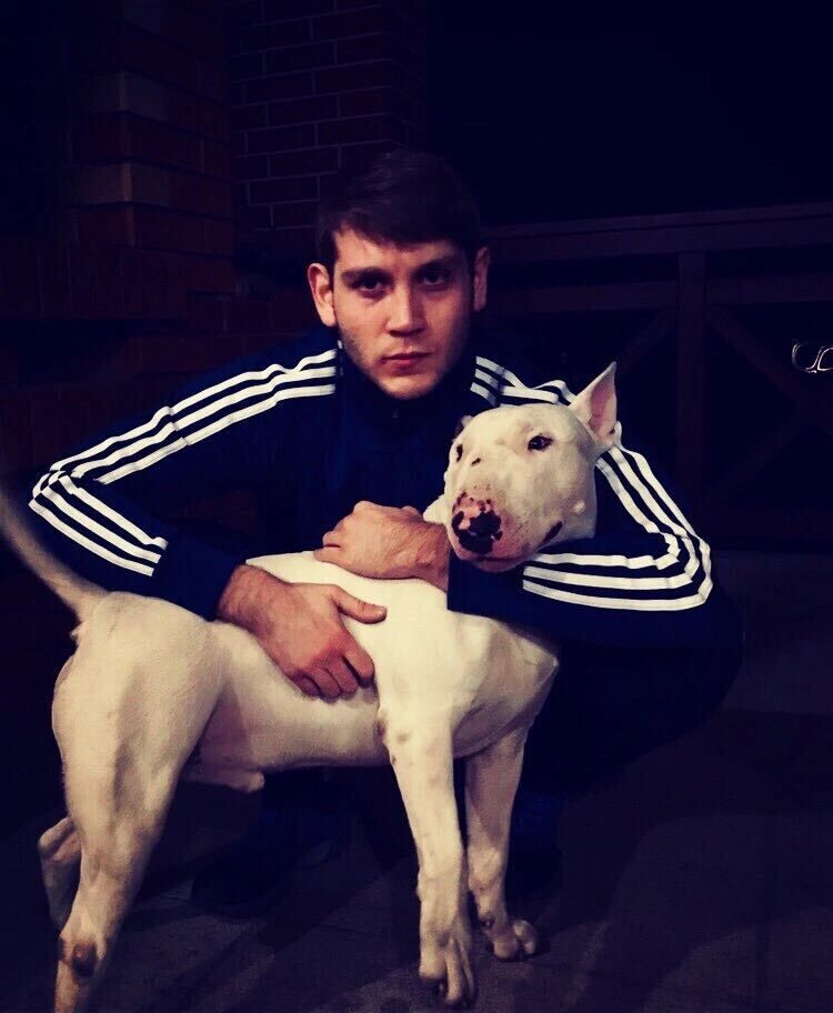 ���������� �����������, ���� ������� Prosto, 32 ����, ������������ ��� ������, ����� � ���������, c�������� ���������, ���������