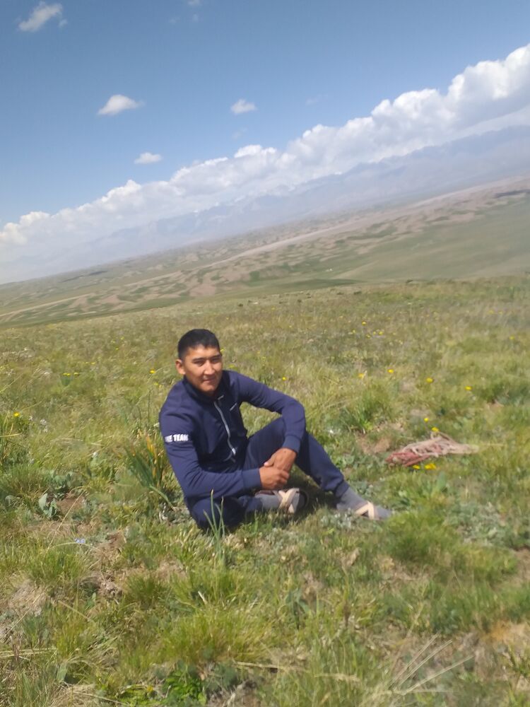  34054103  , 34 ,    