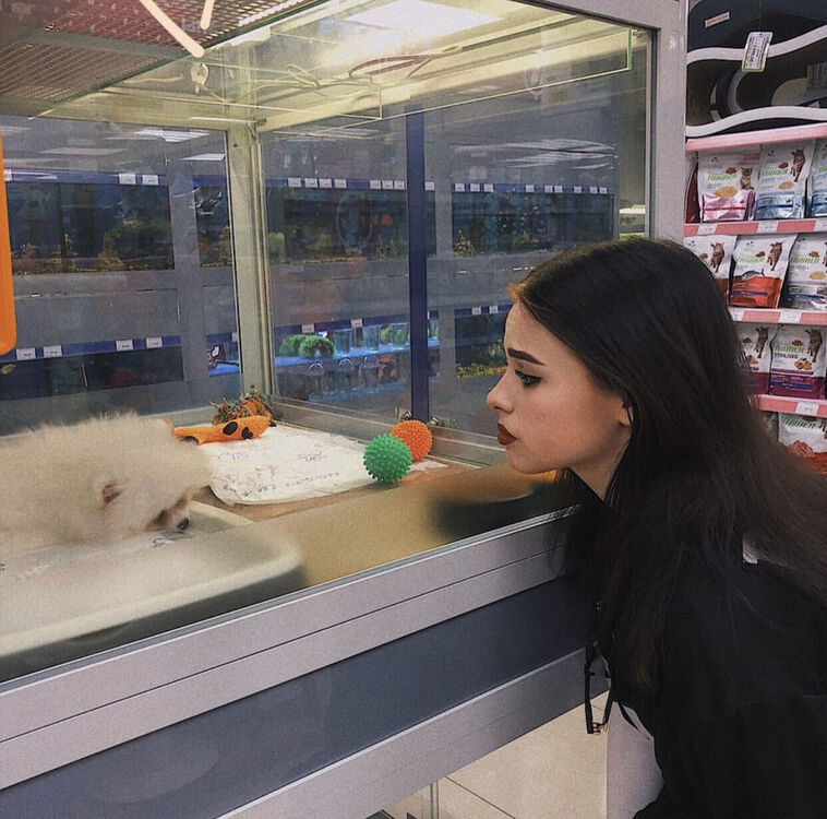 ���������� ������, ���� ������� ��������, 25 ���, ������������ ��� ������, ���������