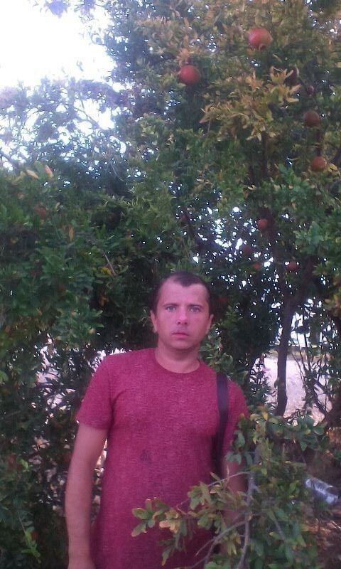  ,   , 44 ,   