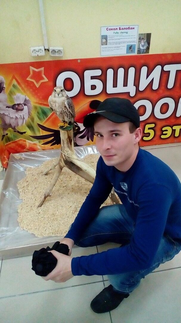 ���� 8008073 ������� ������, 34 ����, ���� ���������� � ��������-���������