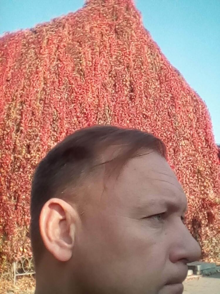  54132733  YaRa, 55 ,    