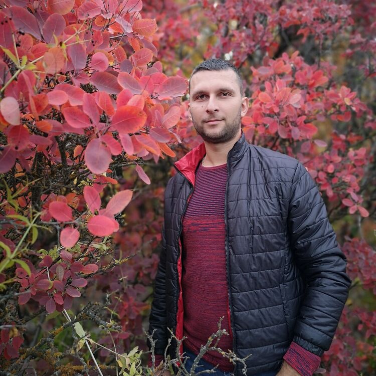 ���� 21608533 ������� ���������, 36 ���, ���� ���������� � ��������