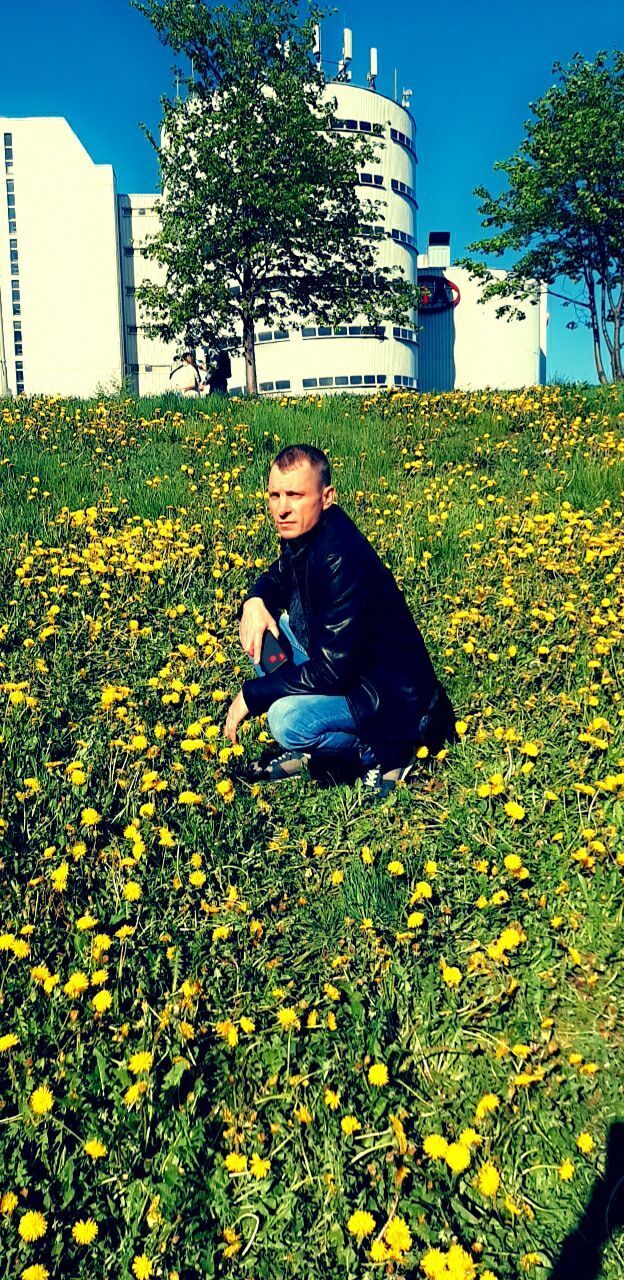 ���� 37579603 ������� �������, 50 ���, ���� ���������� � ������