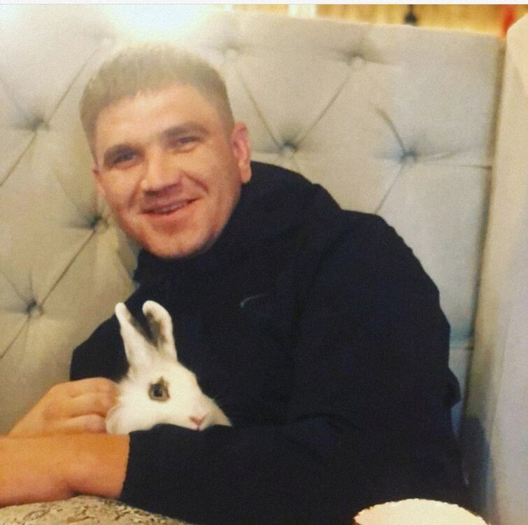  28753683  , 37 ,    -