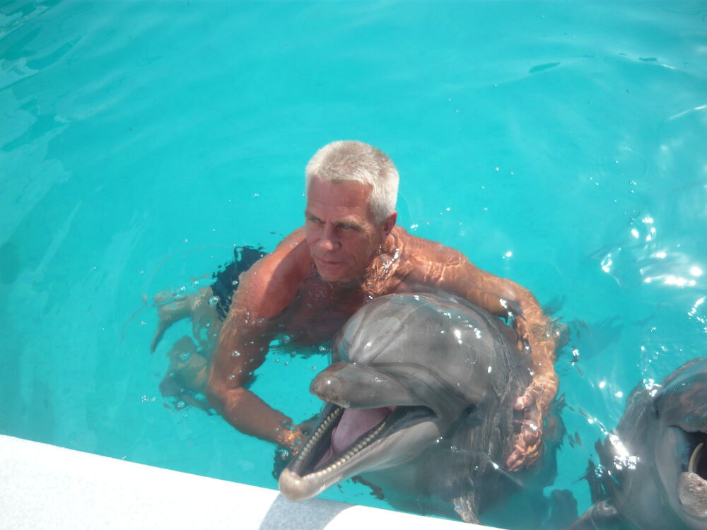 ���������� ������, ���� ������� ��������, 65 ���, ������������ ��� ������, ����� � ���������, c�������� ���������, ���������