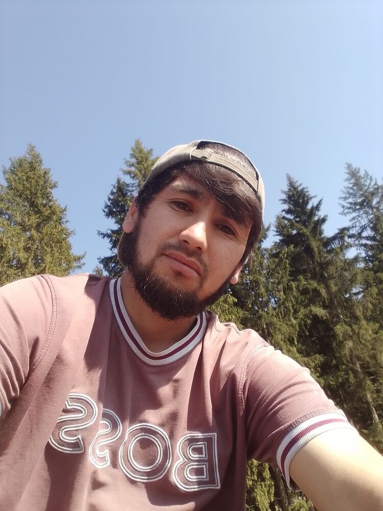  52853643  , 33 ,    
